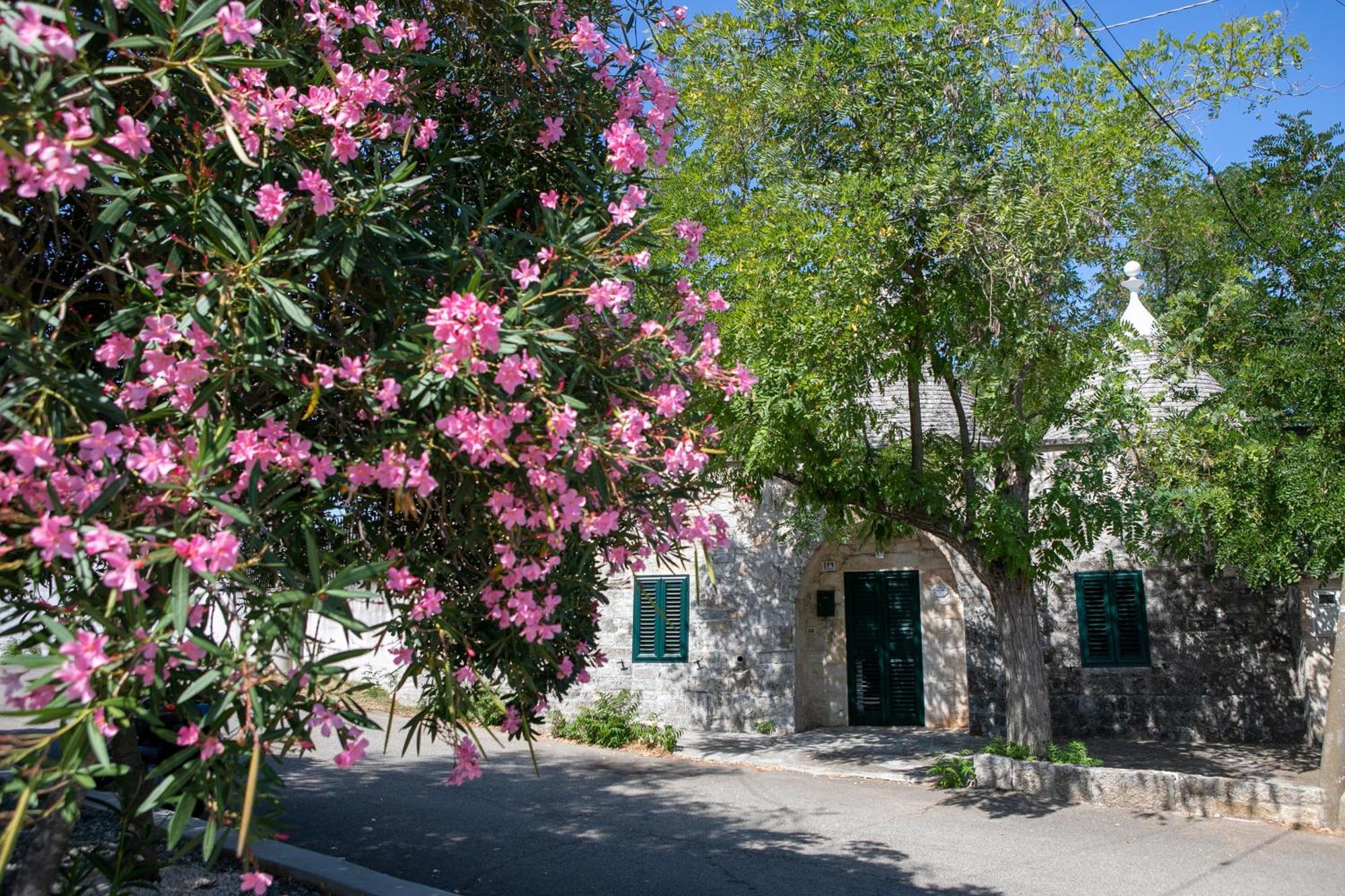 Angolo Di Puglia โลโกโรตอนโด ภายนอก รูปภาพ